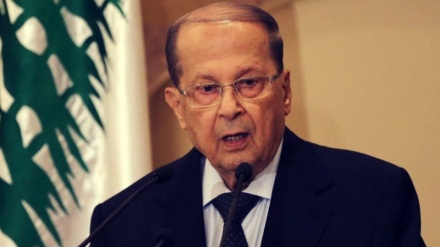 奥恩：真主党将保卫黎巴嫩