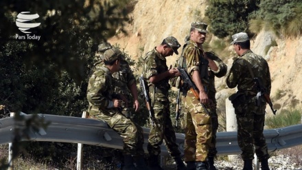 Kamikaze in Algeria: 3 feriti