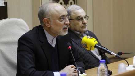 Salehi: Obogaćivanje uranijuma od stotinu hiljada swu, odgovor Irana SAD-u zbog kršenja BARDŽAM-a  