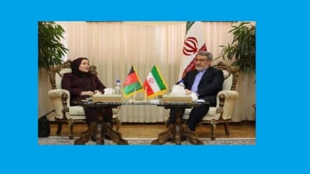  آمادگی ایران برای همکاری با افغانستان در زمینه مقابله با قاچاق مواد مخدر