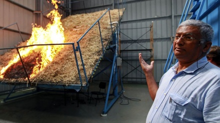 Portugal: Cientista de Coimbra recebe prémio internacional por investigação de incêndios