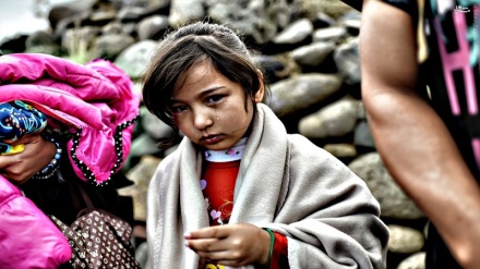 بازداشت 139 مهاجر افغان در غرب ترکیه 