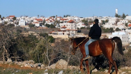 İsrayil işğal bıə Ğudsədə bəştə qədə şəhron soxtey ko dəvom doydə