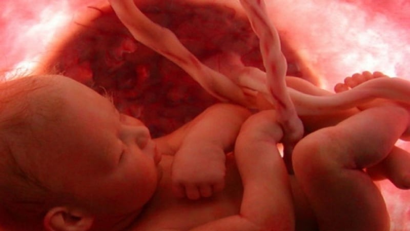 8 choses que bébé apprend dans le ventre de maman