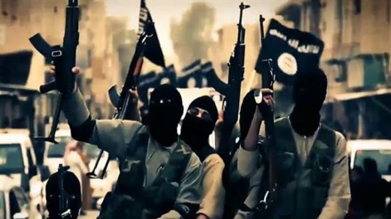 Liban : l’armée pilonne les positions de Daech