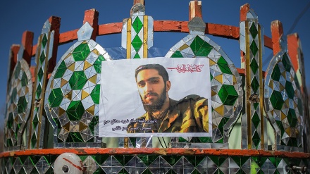 Syahid Pembela Makam Sayidah Zainab as; Hosein Moez Gholami