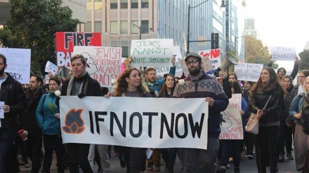 Americans hold protest in Washington against Zionist lobby