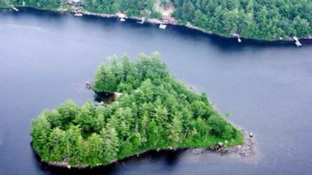 (FOTO DEL GIORNO) No comment