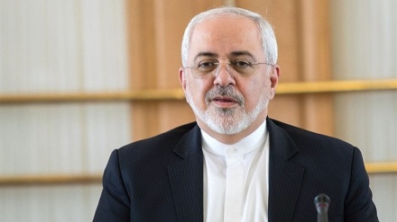 एकता से आतंकवाद का मुक़ाबला संभवः ज़रीफ़