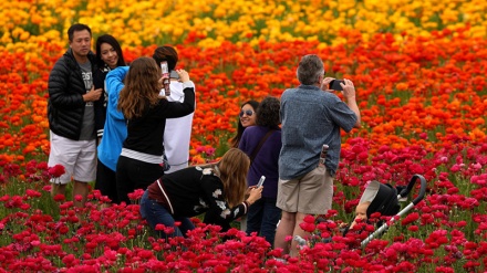 Fillon stina e pranverës