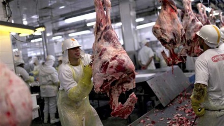 Crisis hits Brazil’s meat industry over health scare