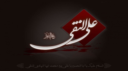 د حضرت امام علي نقي ع د شهادت د کلیزې تسليت وایوو