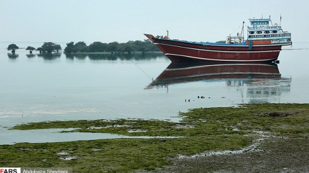 Форс кўрфазининг истиқболи(СУРАТЛАР)