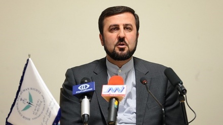 任命伊朗人权报告员是政治和违法举措