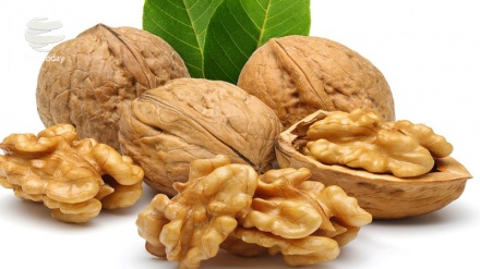 Чанд моддаи ғизоии таъсиргузор барои саломатии муйҳо 