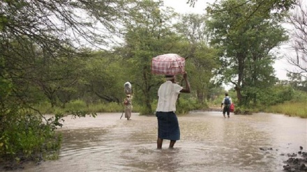 Malaria kills 150 in Zimbabwe after heavy rains