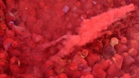 Festival Holi u Indiji
