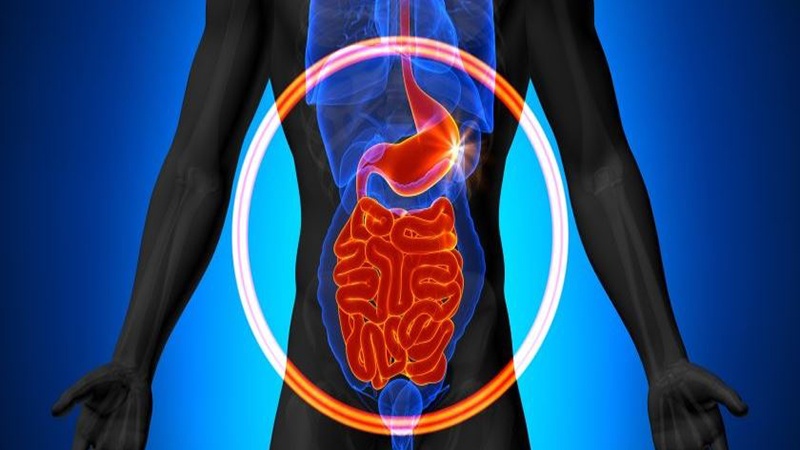 8 troubles de la santé qui commencent à l’intestin