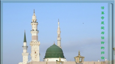 清真寺是爱与信仰的归宿