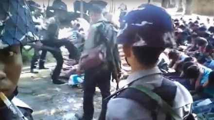 欧洲要求就罗兴亚穆斯林状况展开国际调查