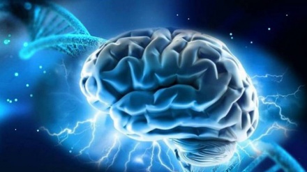 Identificati i 100 geni della memoria