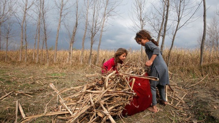 Fotografit më të mira në botë, 12 mars 2017