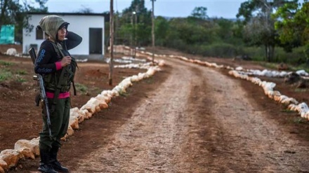Colombia’s FARC rebels hand over weapons in special camps 