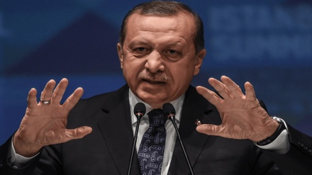 Upaya Erdogan Ubah Sistem Pemerintahan Pasca Kudeta Gagal