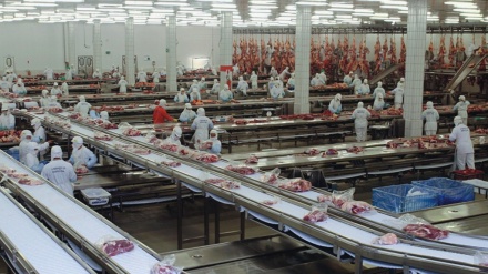 Chile, China e Egito anunciam retomada da importação de carne brasileira