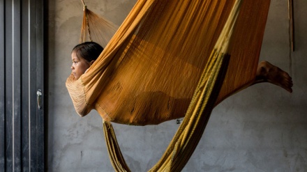 Fituesit e çmimit të fotografisë 