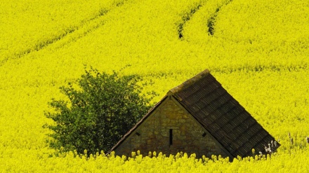 Pranvera në vende të ndryshme të botës