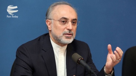 Salehi: Keberhasilan Kesepakatan Nuklir Perlu Interaksi Konstruktif ! 