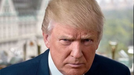 Politik Tragis Anti-Lingkungan Hidup Trump