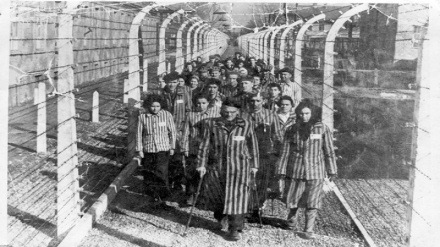בבריטניה: 5% מהאזרחים לא מאמינים כי השואה קרתה