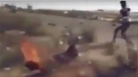 जैसे को तैसा, मिस्री क़बीले ने दाइश के सरग़ना को ज़िंदा जला दिया + वीडियो विचलित कर सकता है!!!