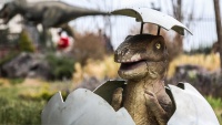Jurassic Park
