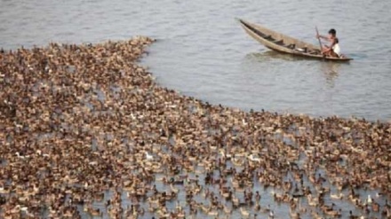 Foto del giorno: Bangladesh, Dhaka