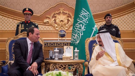 Egypt's Sisi visits Saudi Arabia to boost ties
