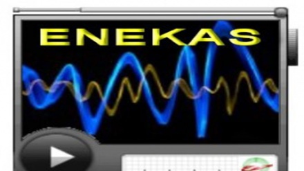 Жило янги фикрлар инъикоси