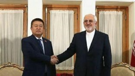 Zarif: la comunita' internazionale dovrebbe lotta con il terrorismo e l'estremismo