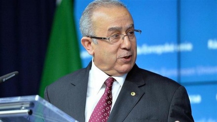 Syria’s territorial sovereignty must be respected: Algeria 