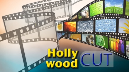 Hollywood cut (26.dio)		