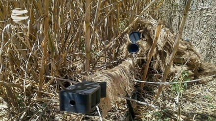 Operasi Perlawanan Rakyat Yaman di Bulan September