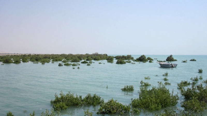 イランの国際湿地の地理的な位置づけ