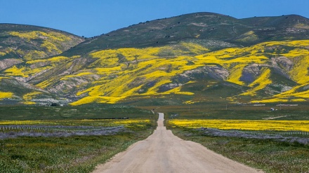 Shenjat e pranverës