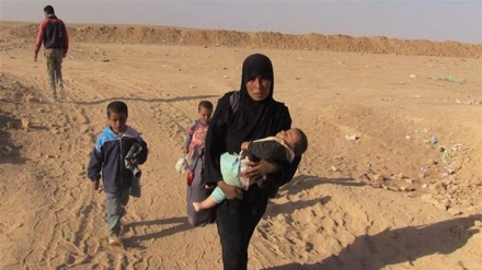 Que cherche Washington en occultant les crimes de Daech à Mossoul ?