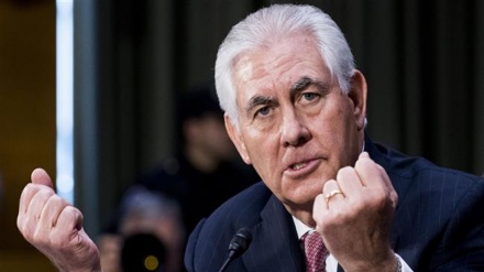 Amurka : Farmakin Turkiyya A Siriya, Ya Raunana Yaki Da IS_Tillerson 