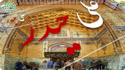 Şiiə yolə alimon-39