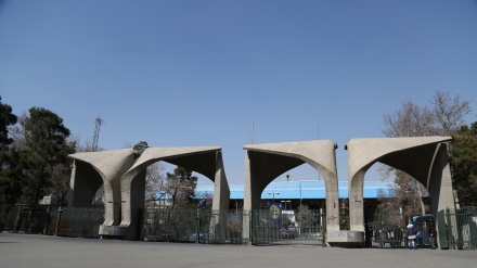 イランの８大学が世優秀大学８００校にランクイン