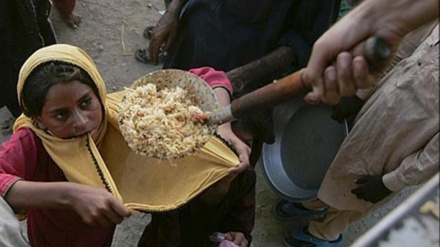 Afrika’da gıda maddeleri krizi; sebep ve sonuçları